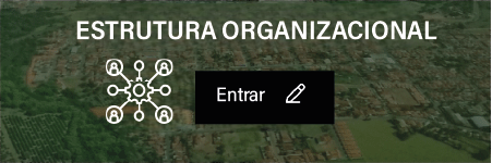 Estrutura organizacional