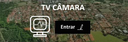 TV Camara